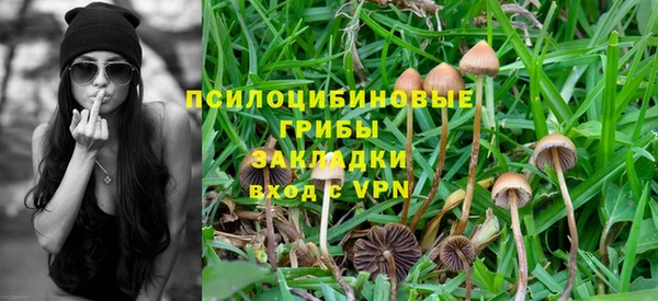 скорость Богданович